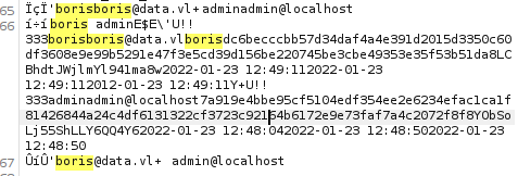Database in Burp Suite